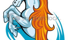 马动漫,驰骋想象，描绘梦幻世界